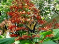 DSC01478