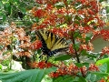DSC01479