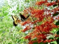 DSC01512