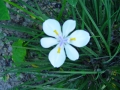 DSC02961