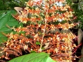 DSC03137