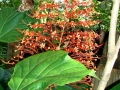 DSC03138