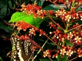 DSC03155