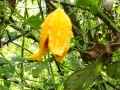 DSC03497