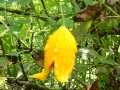 DSC03498