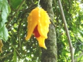 DSC03499
