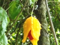 DSC03500