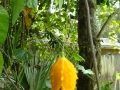 DSC03501