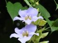 DSC03508