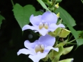 DSC03509
