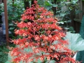 DSC03517
