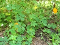 DSC03560