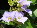 DSC03668
