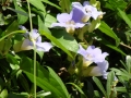 DSC03671