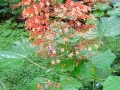 DSC03788