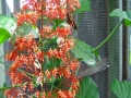 DSC05032