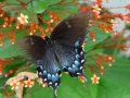 DSC05180