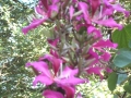 DSCN0034