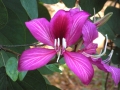 DSCN0035