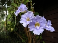 DSCN0213