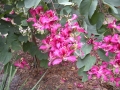 DSCN0214