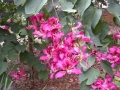 DSCN0215