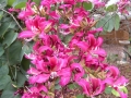 DSCN0216