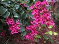 DSCN0217