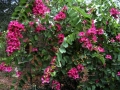DSCN0219