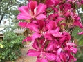 DSCN0221