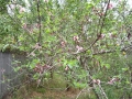 DSCN0223