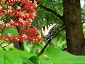 DSCN1297