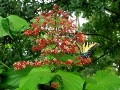 DSCN1298