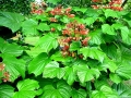 DSCN1299