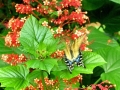 DSCN1300_2