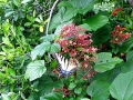DSCN1301