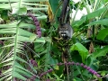 DSCN1418_1_(4)