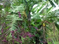 DSCN1418_1_(6)
