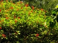 DSCN4042
