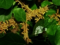 DSCN4447_1