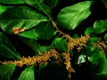 DSCN4448