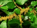DSCN4449