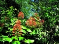 DSCN4605