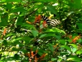 DSCN4607