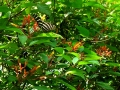 DSCN4608