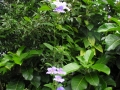 DSCN4723