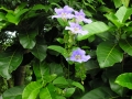 DSCN4724