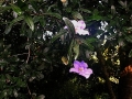 DSCN4803