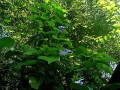 DSCN4804