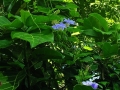 DSCN4804_1